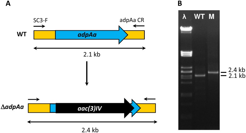 Fig 4