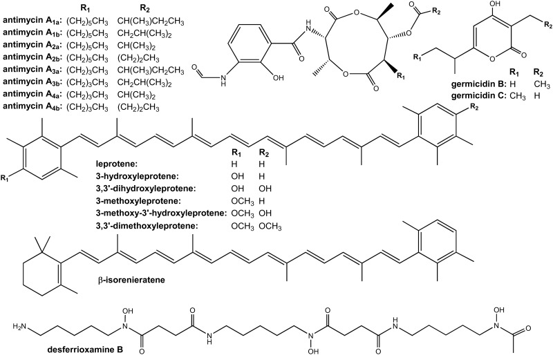 Fig 2