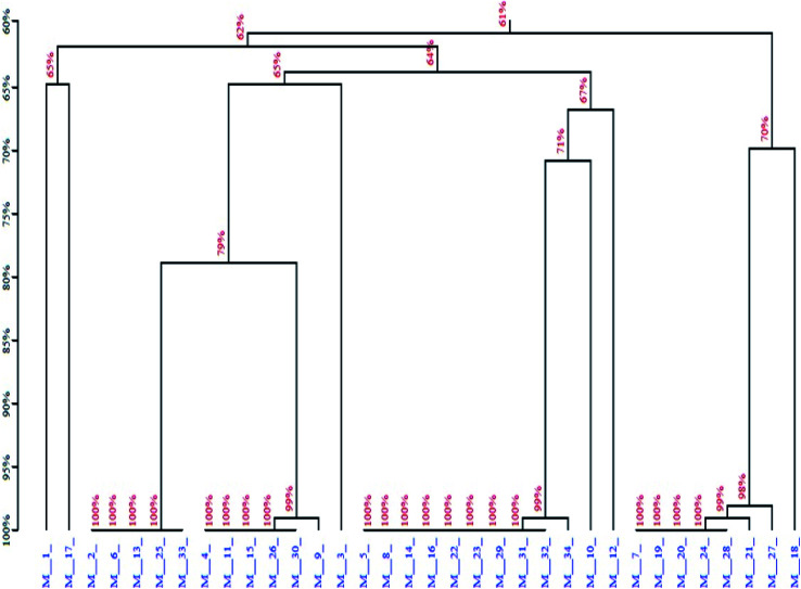 Fig. 12