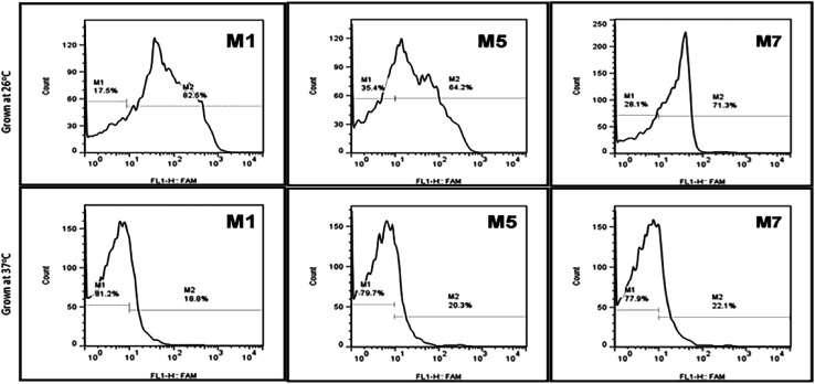 Fig. 9