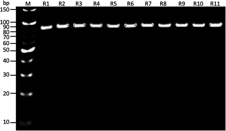 Fig. 10