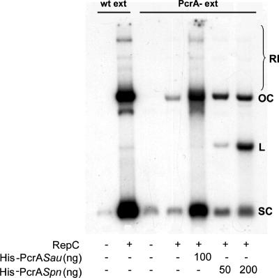 FIG. 8.