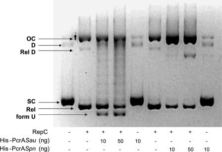 FIG. 7.