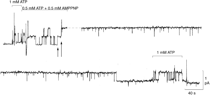 Figure 7. 