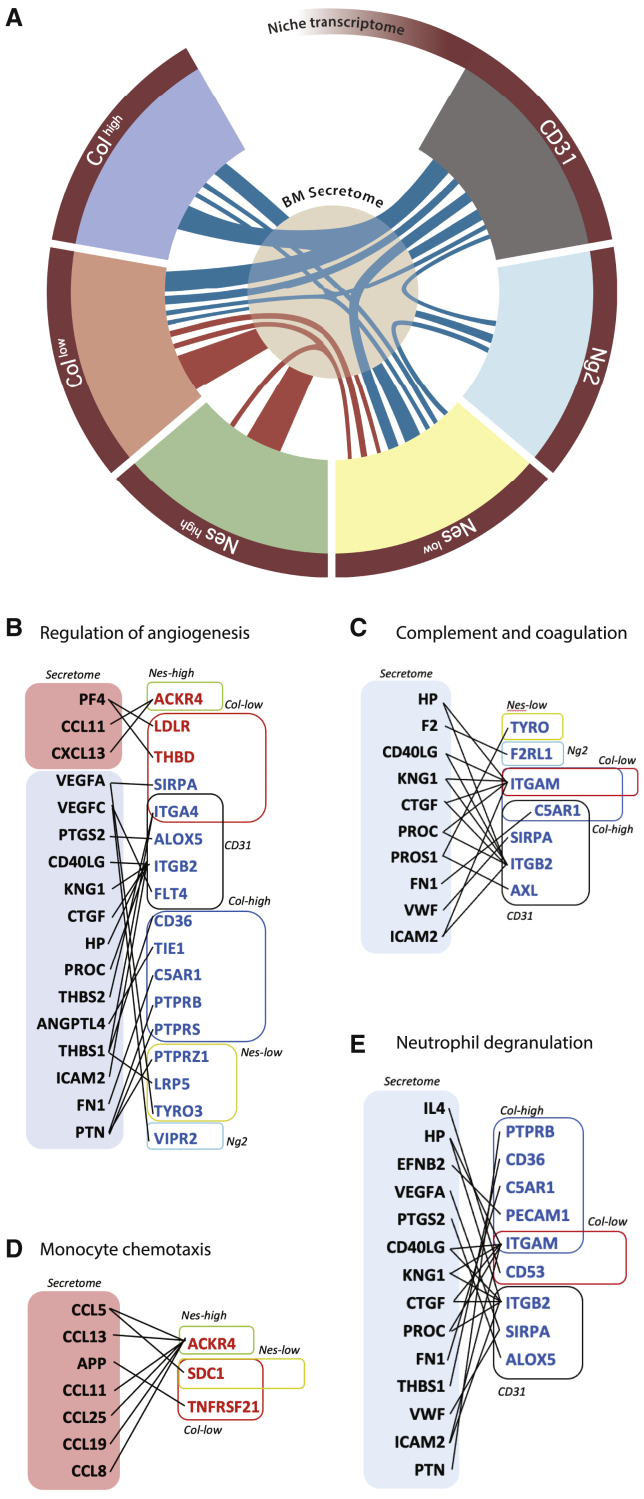 Figure 6