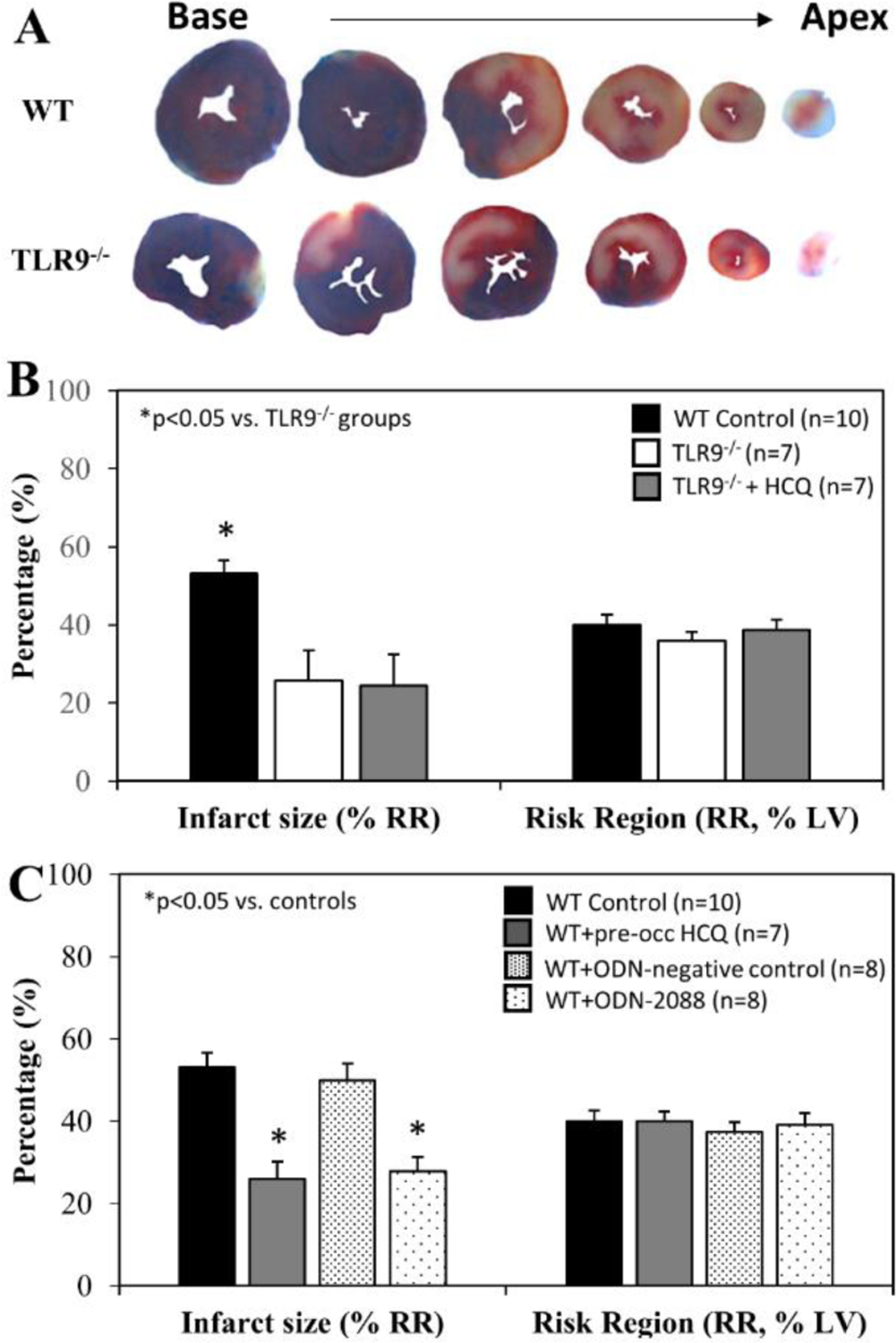 Figure 4: