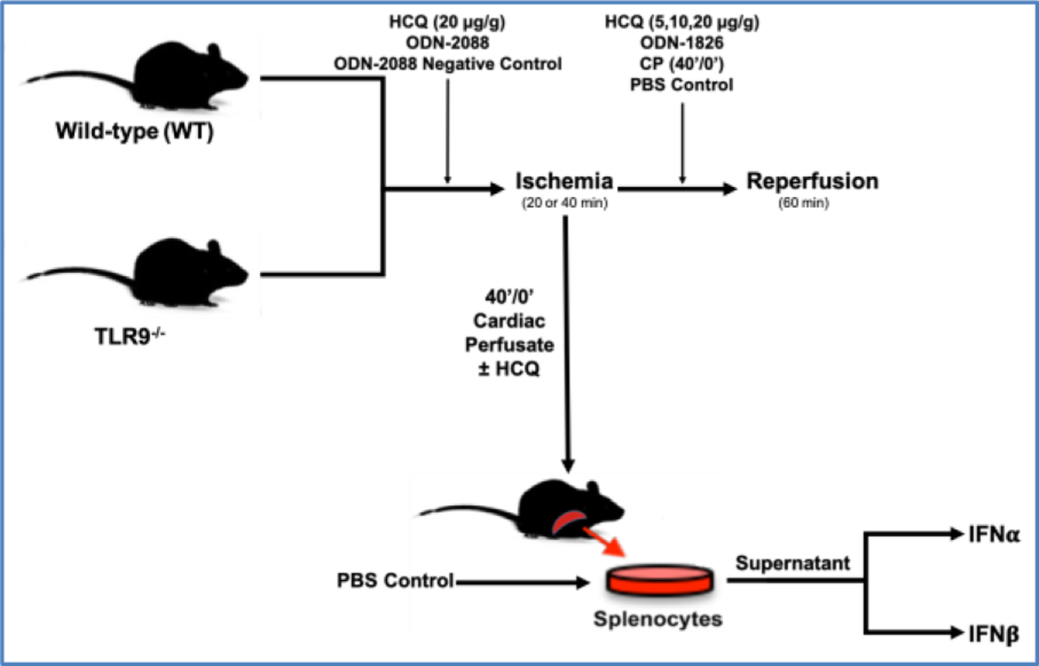 Figure 1: