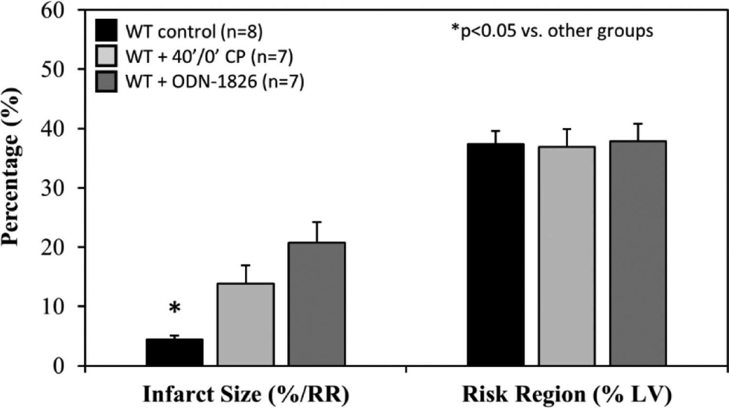 Figure 6: