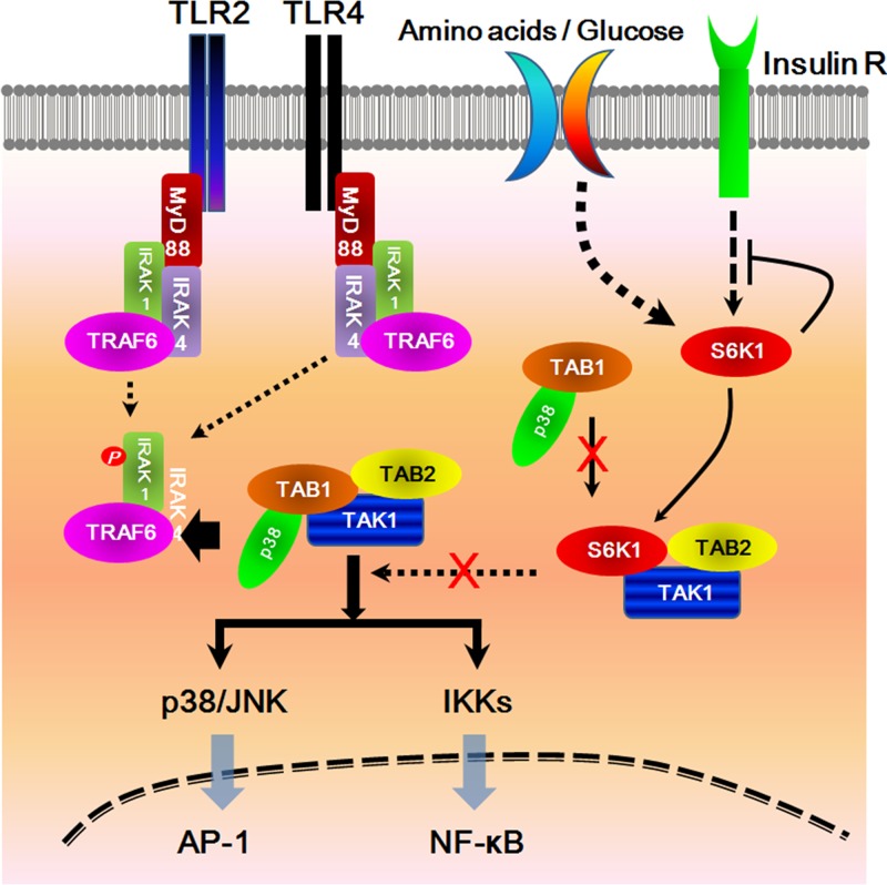 FIG 7