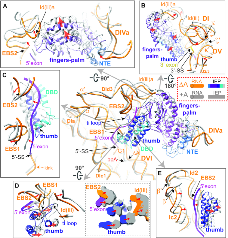 Figure 4.