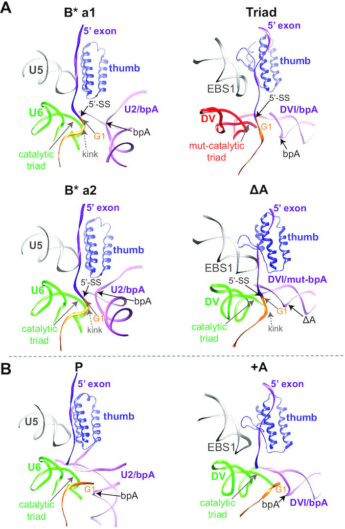 Figure 7.