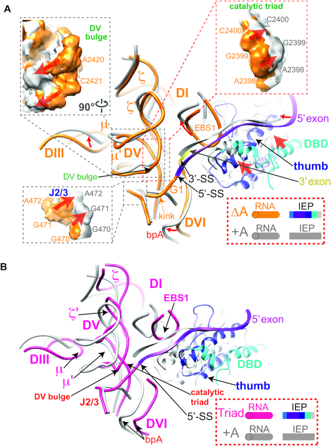 Figure 5.