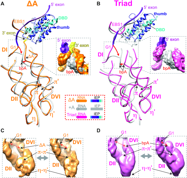 Figure 6.