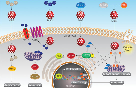 Figure 20