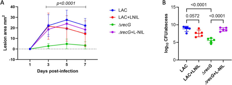 FIG 3