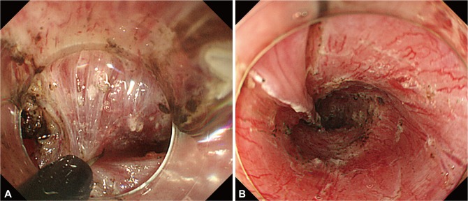 Fig. 9