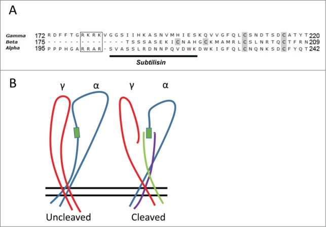 Figure 7.