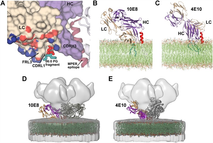 Fig 4