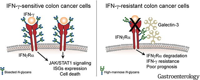 graphic file with name nihms-1851134-f0007.jpg