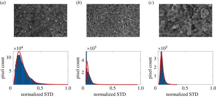 Figure 5. 