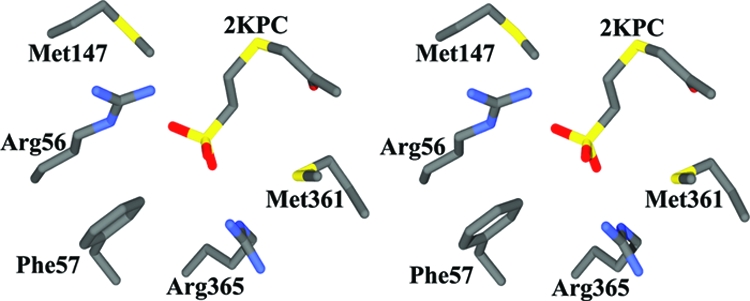 FIG. 8.