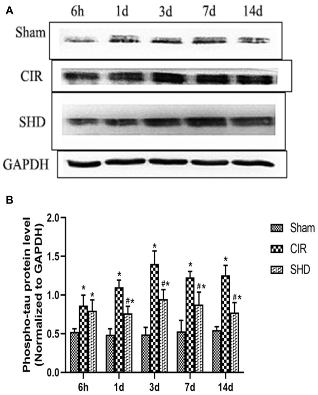 Figure 7