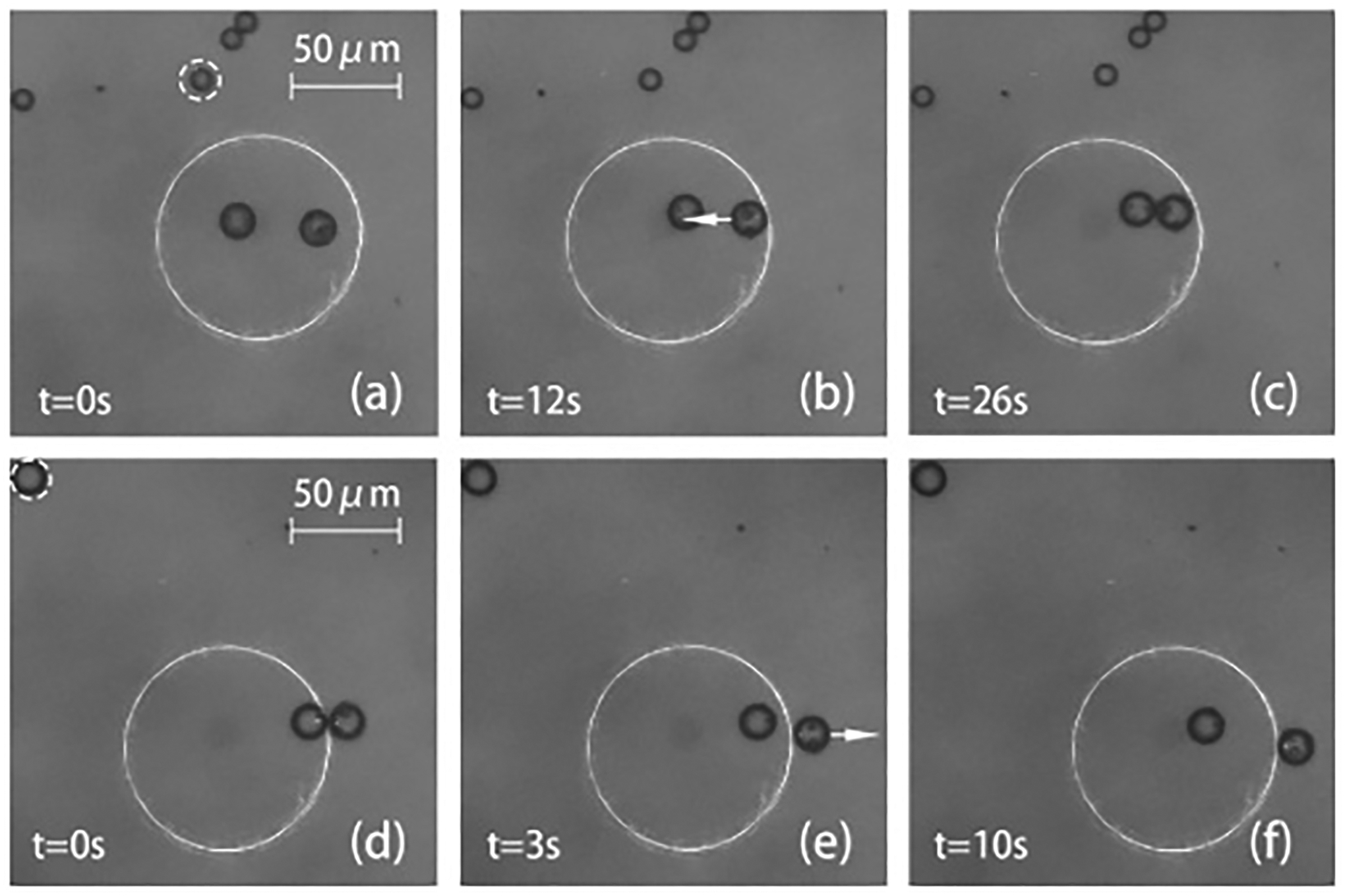 Fig. 9.