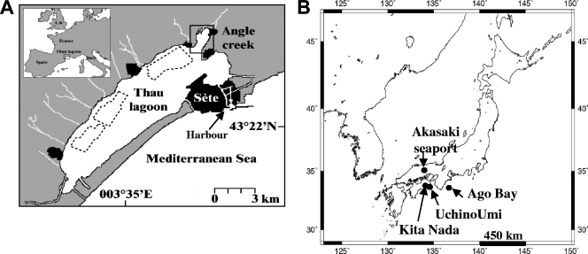 FIG. 1.