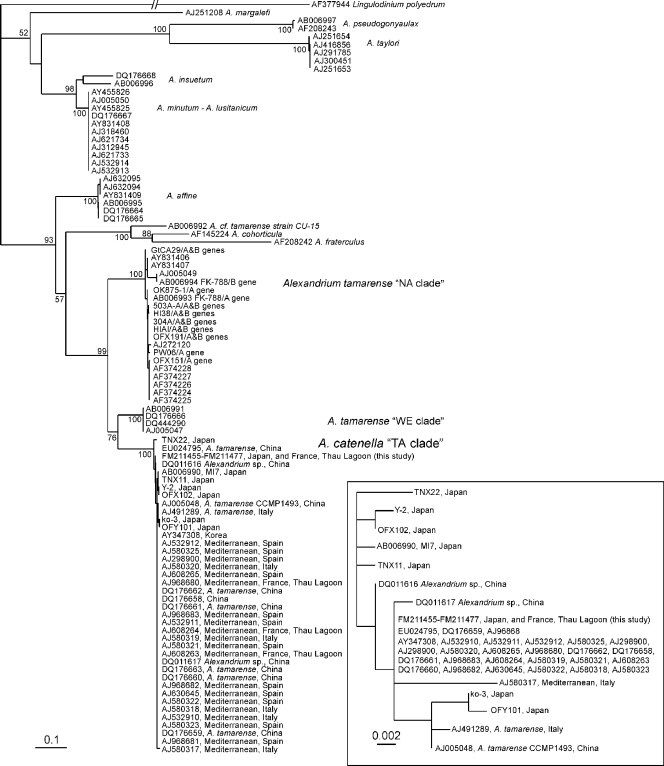 FIG. 2.