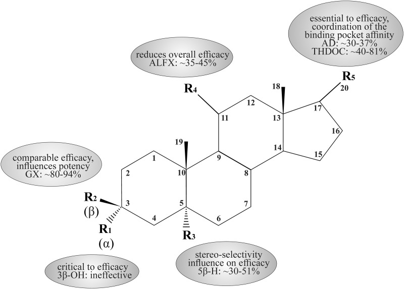 Fig. 10.