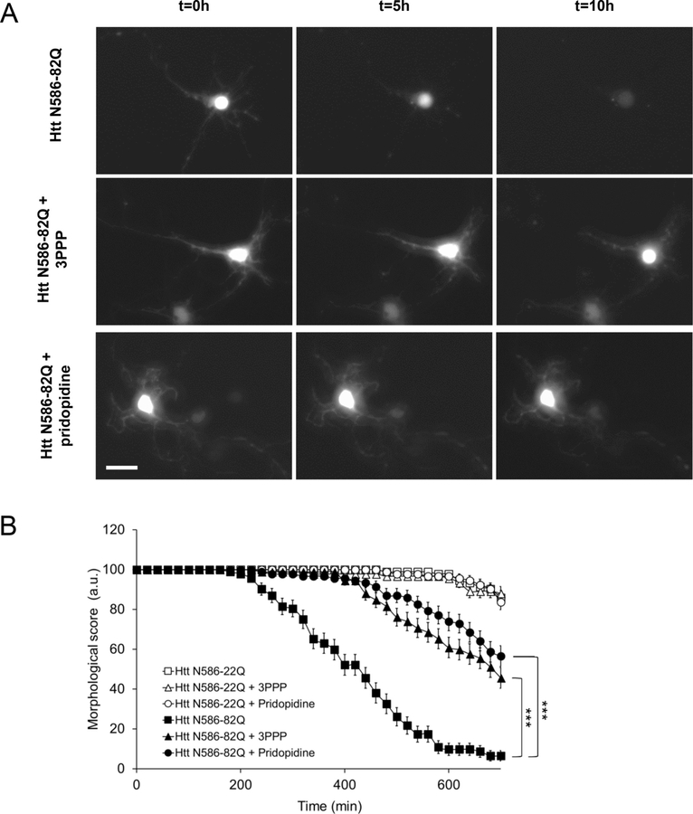 Fig. 3.