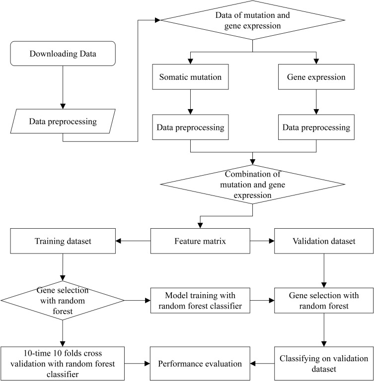 FIGURE 1