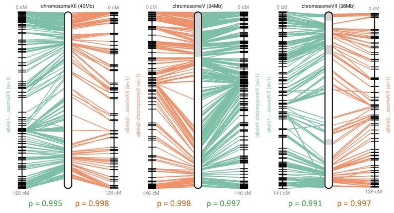 Figure 4: