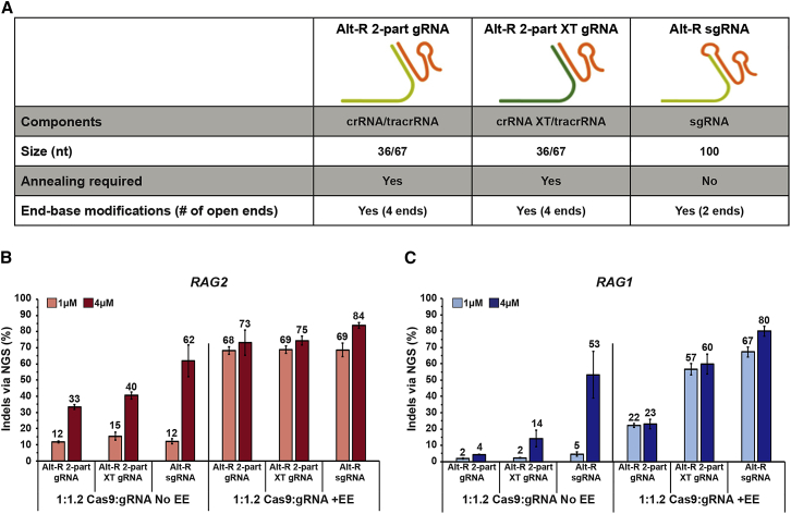 Figure 1