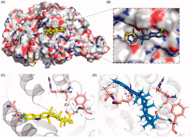 Figure 4.