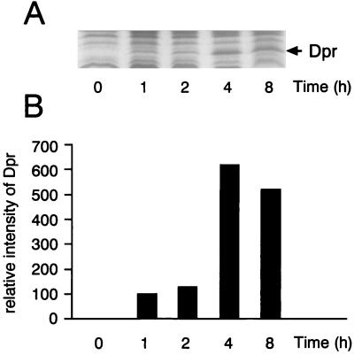 FIG. 5