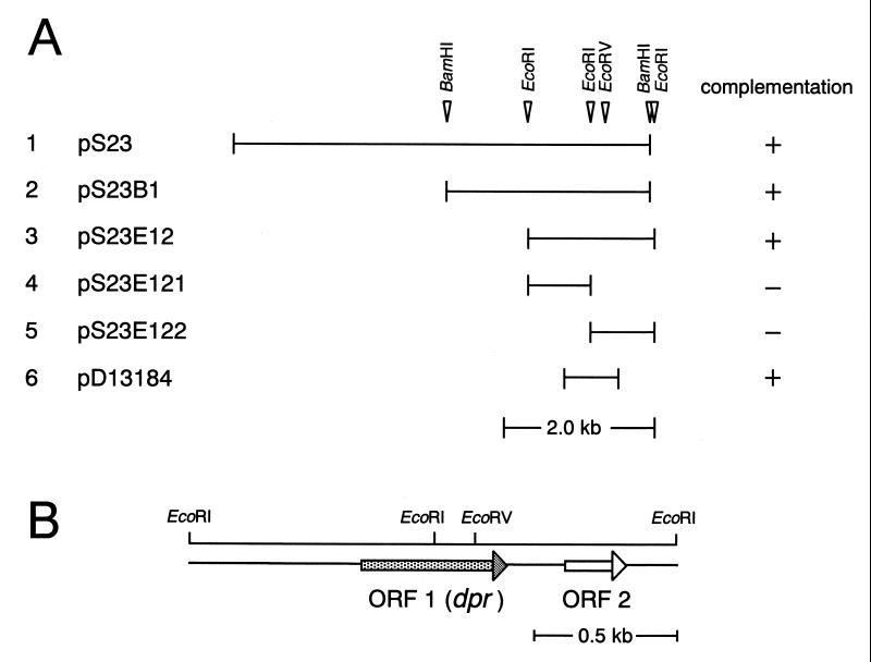 FIG. 1