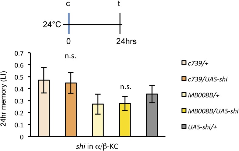 Figure 7—figure supplement 1.