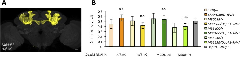 Figure 6—figure supplement 1.