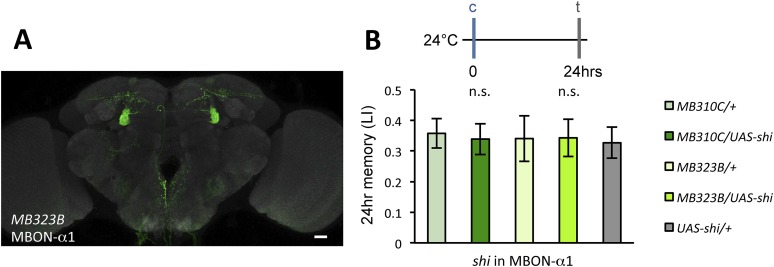 Figure 3—figure supplement 1.