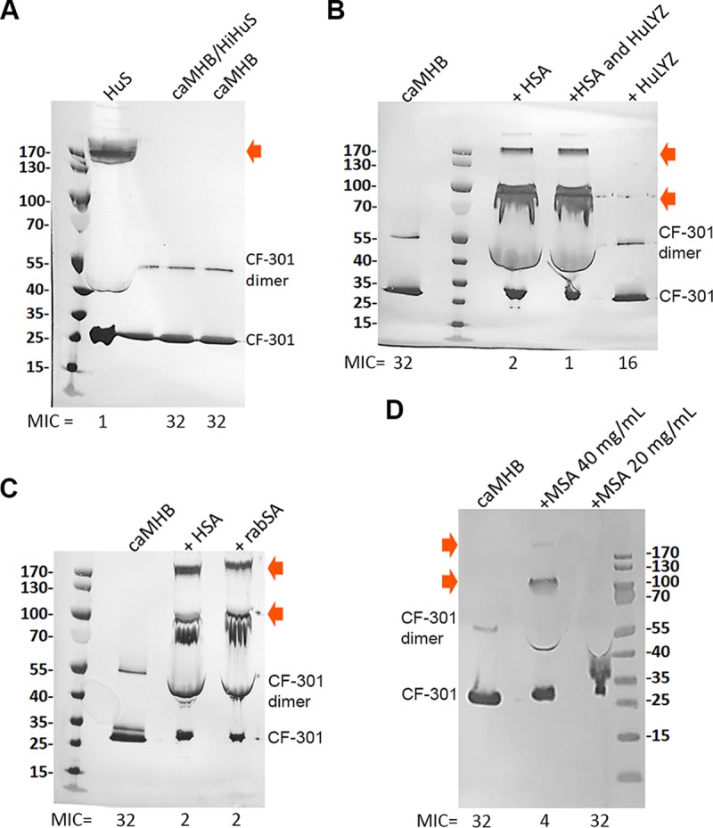 FIG 3