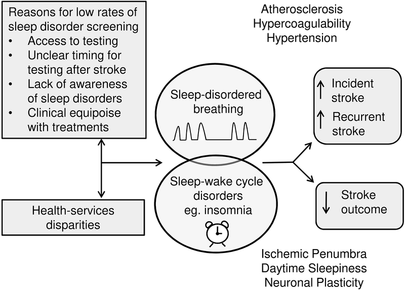 Figure 1: