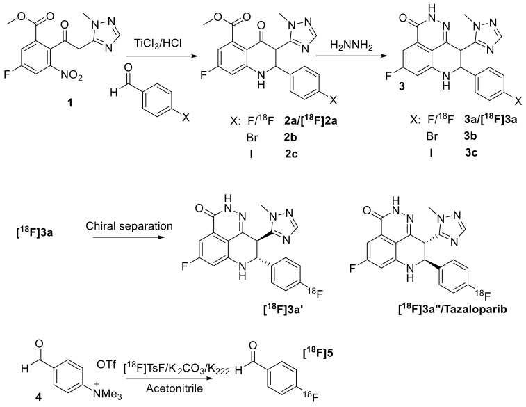 Scheme 1