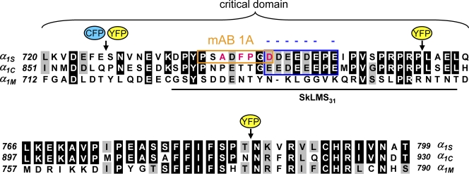 Figure 9.