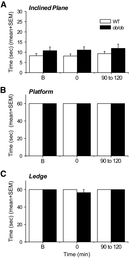 FIG. 8.