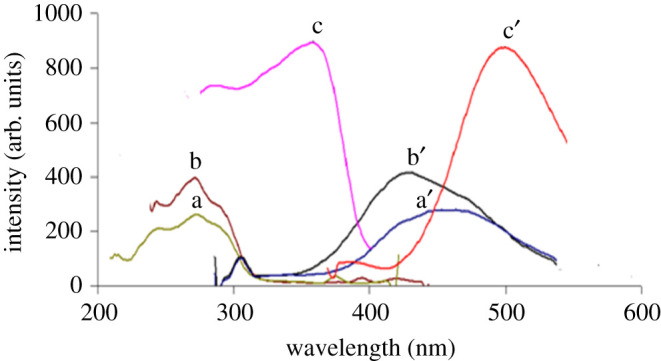 Figure 2. 