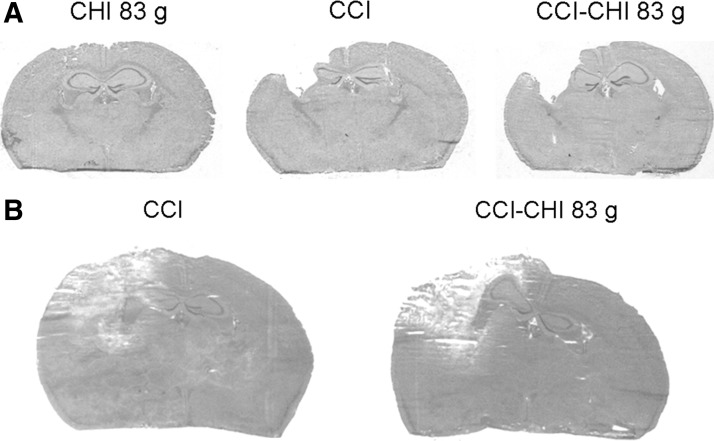 FIG. 7.