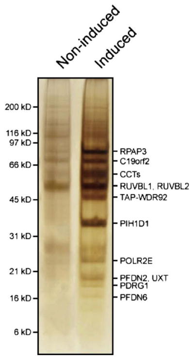 Fig. 2