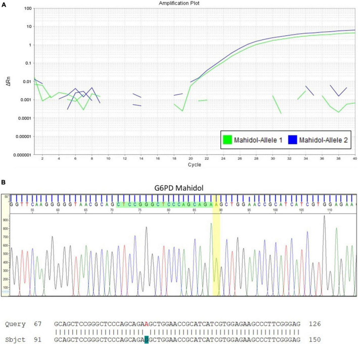 FIGURE 3