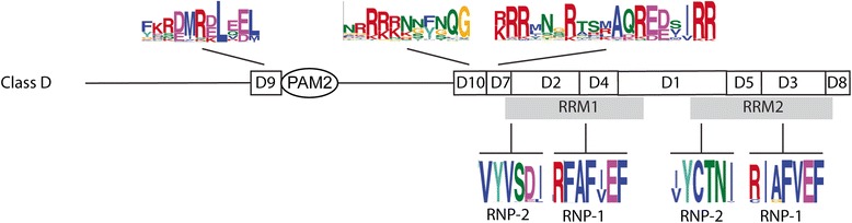 Fig. 8